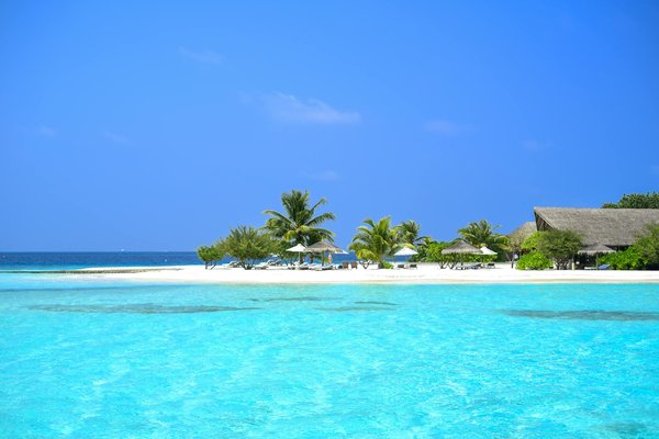 Comment utiliser les comparateurs en ligne pour un vol + hôtel pas cher